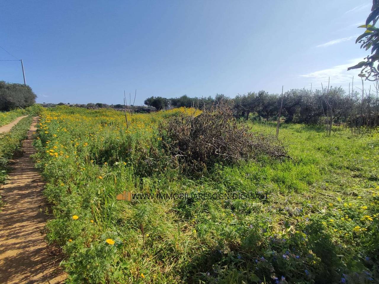 immagine annuncio 3 di 11