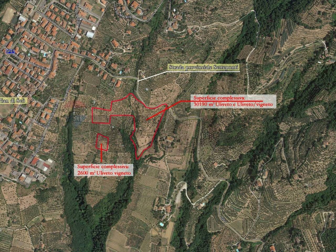 immagine annuncio 3 di 6