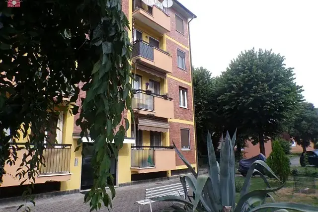 insertion image