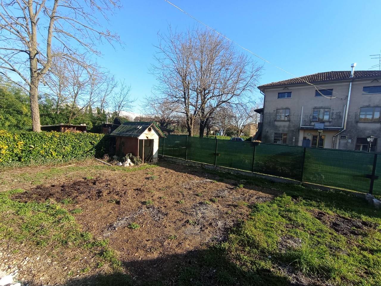 immagine annuncio 2 di 3