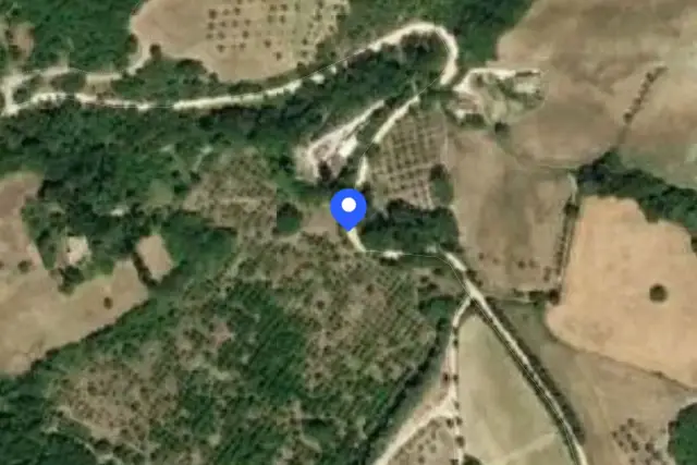 insertion image