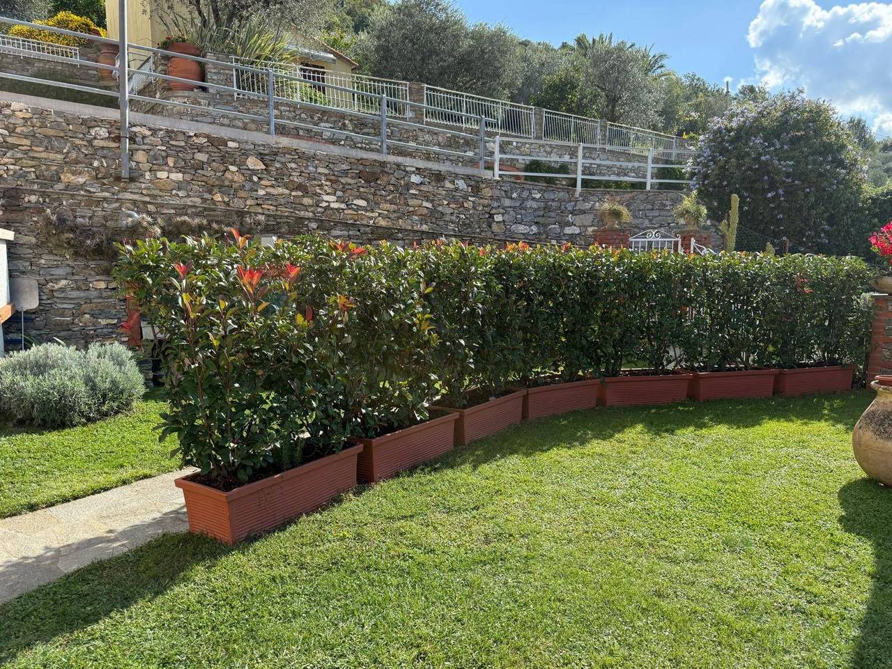 immagine annuncio 8 di 15