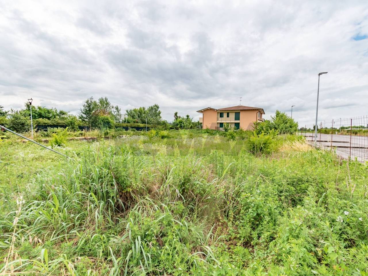 immagine annuncio 3 di 13