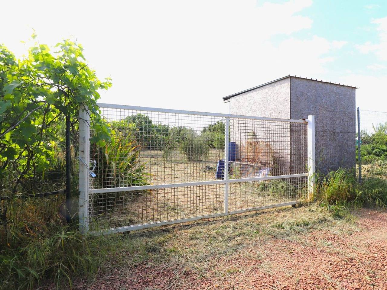 immagine annuncio 7 di 9