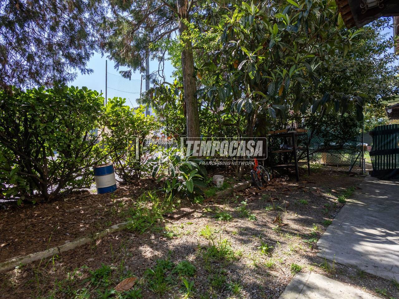 immagine annuncio 1 di 6