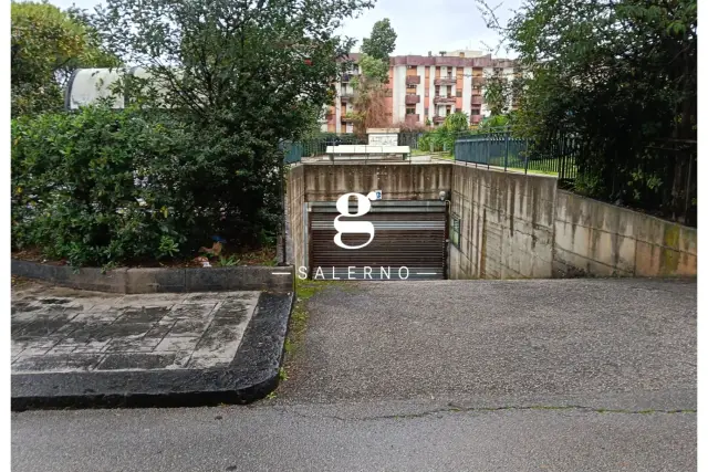 insertion image