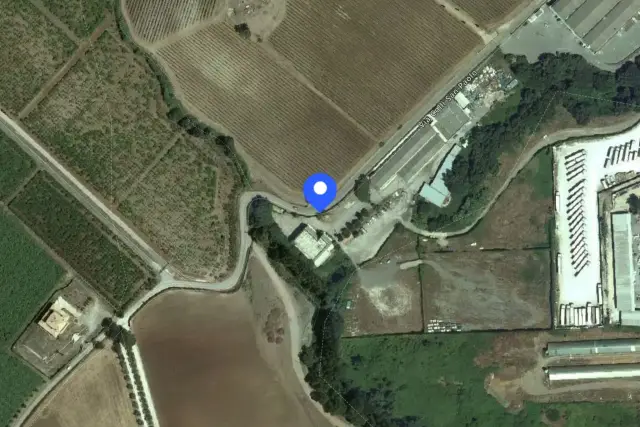 insertion image