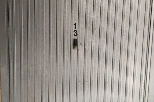 insertion image