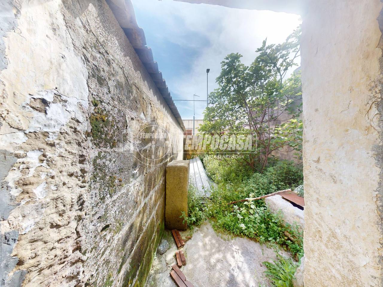 immagine annuncio 7 di 14