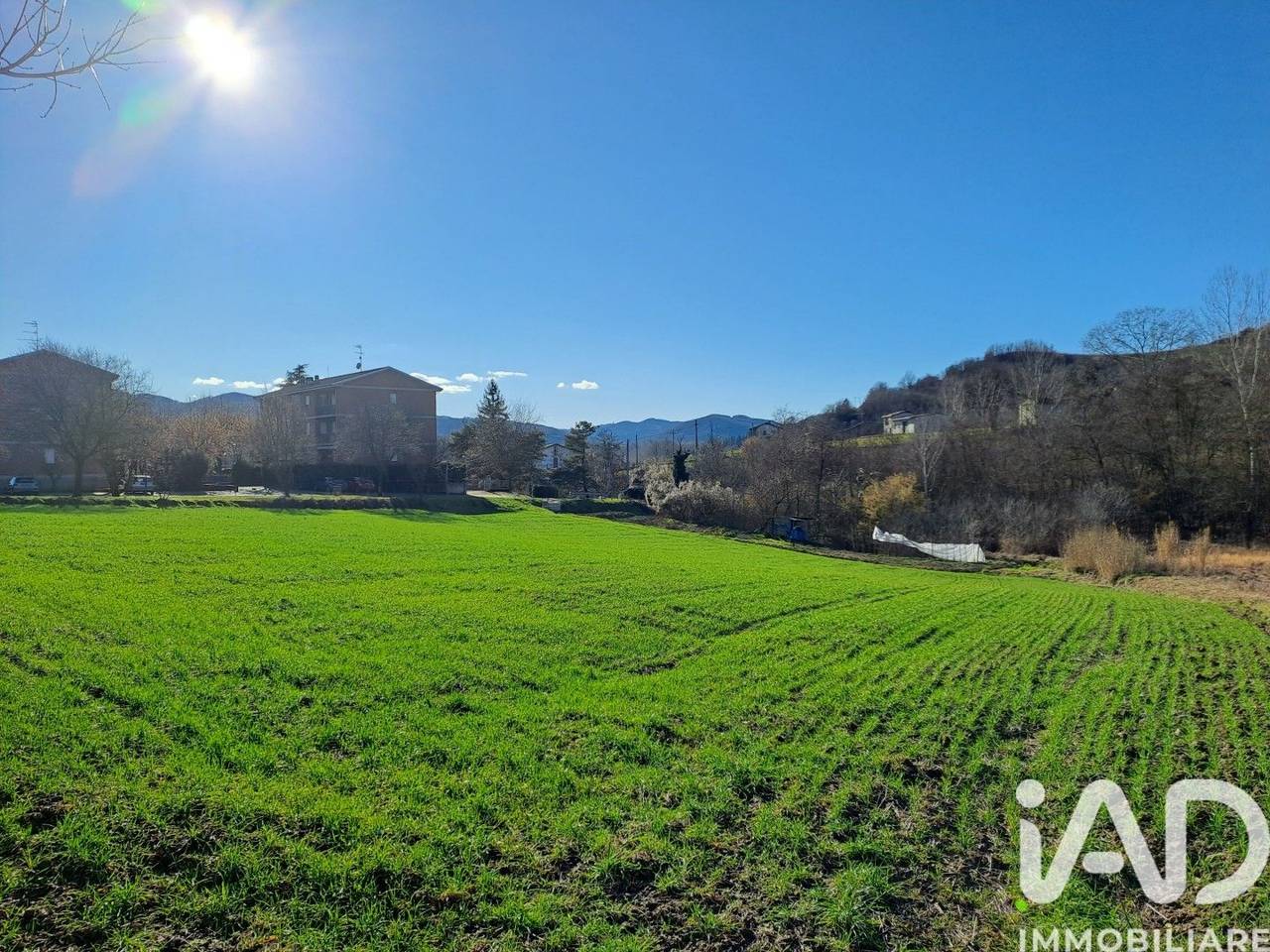 immagine annuncio 7 di 11