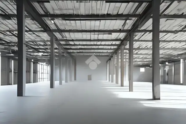insertion image