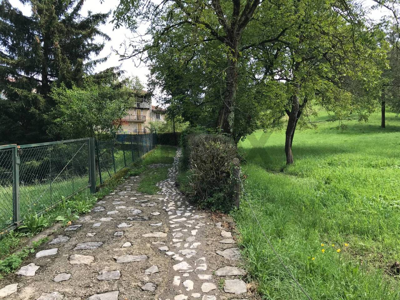 immagine annuncio 5 di 7