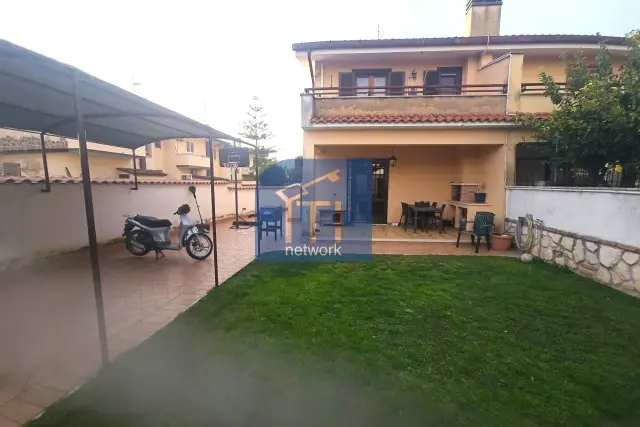 insertion image