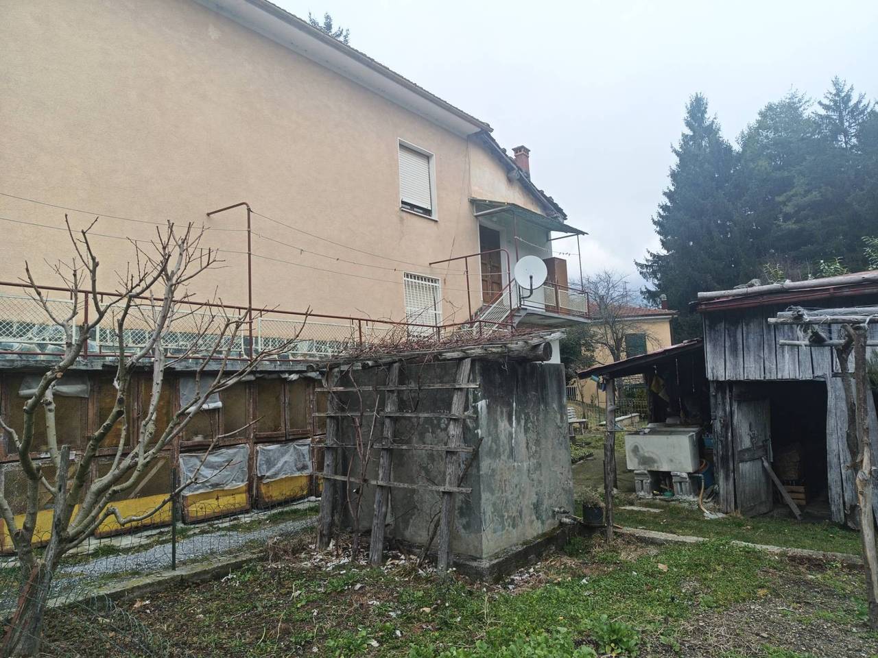 immagine annuncio 2 di 15