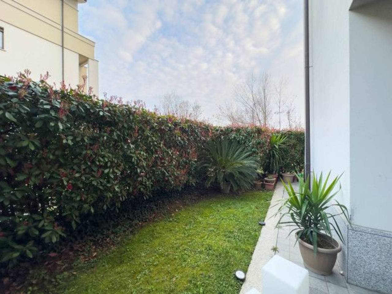 immagine annuncio 10 di 14