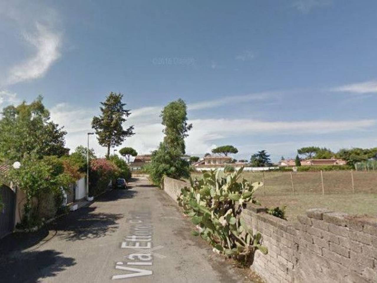 immagine annuncio 5 di 6