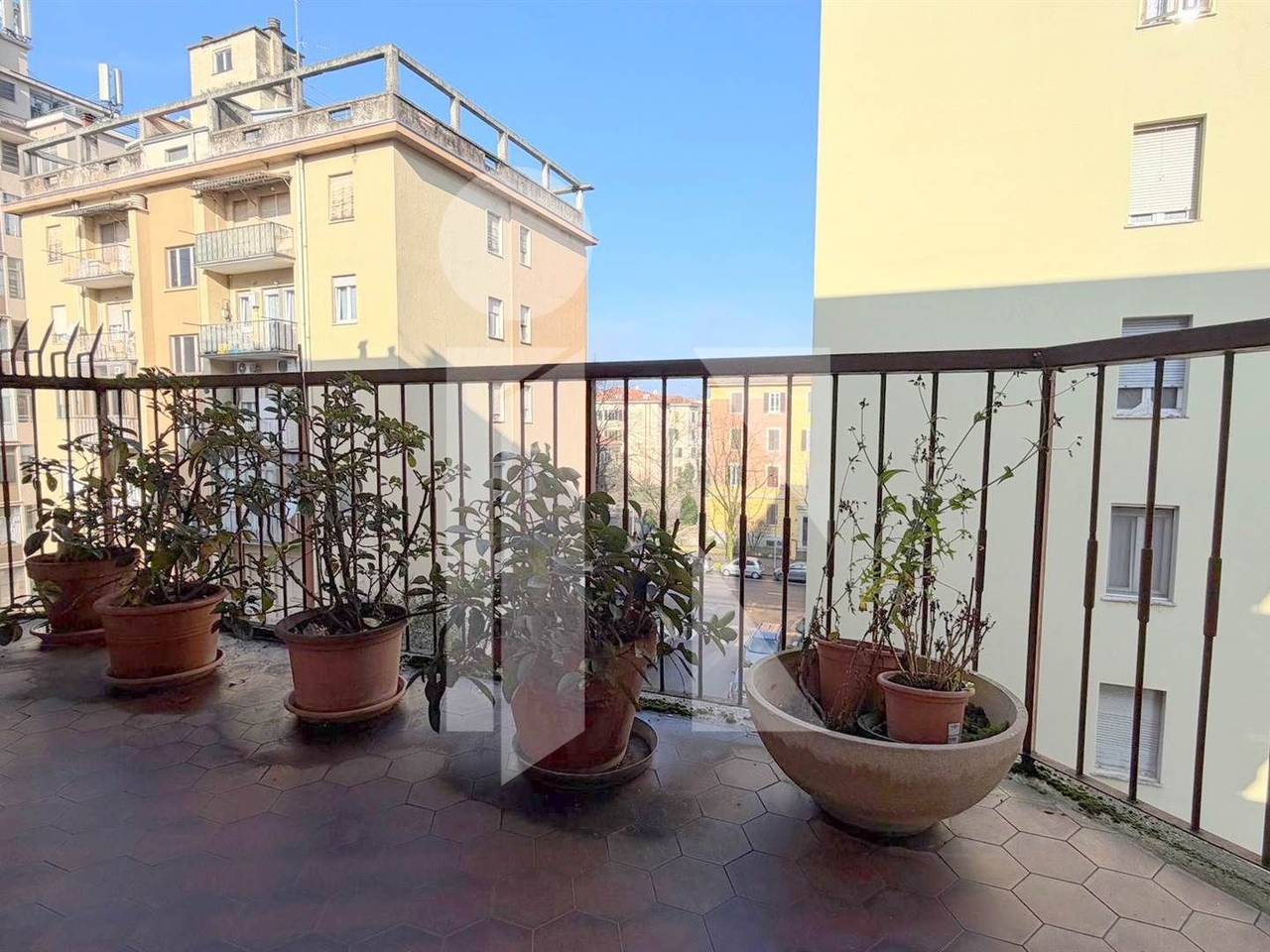 immagine annuncio 4 di 14