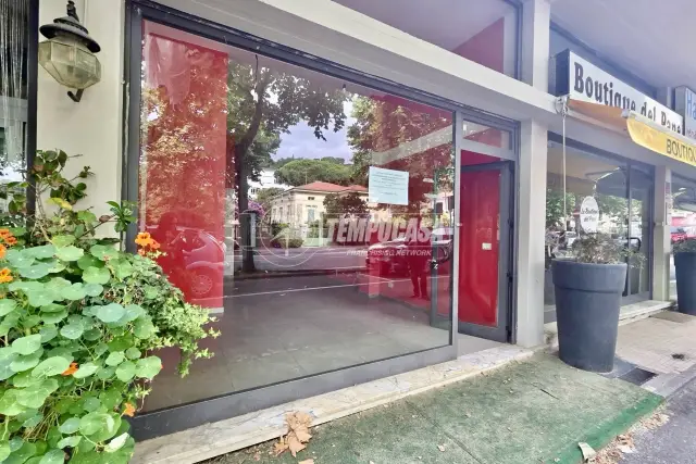 insertion image