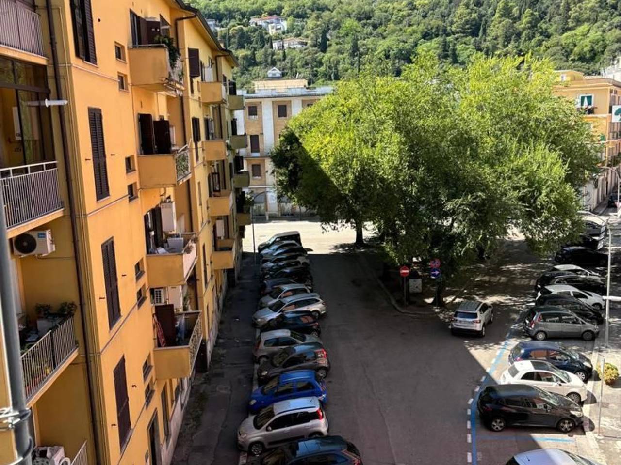 immagine annuncio 6 di 7