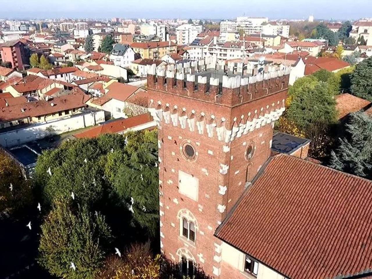 immagine annuncio 8 di 12