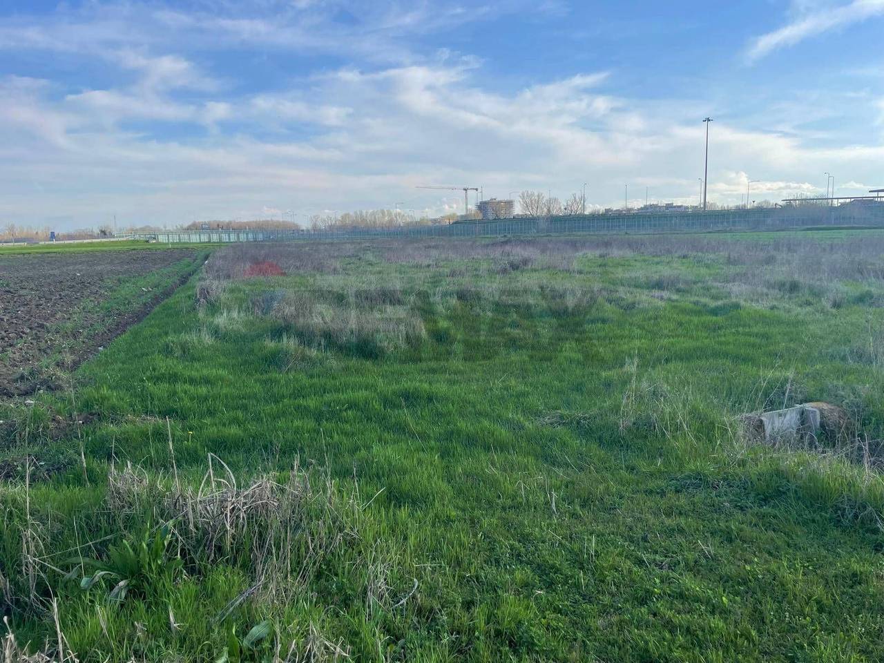 immagine annuncio 2 di 6