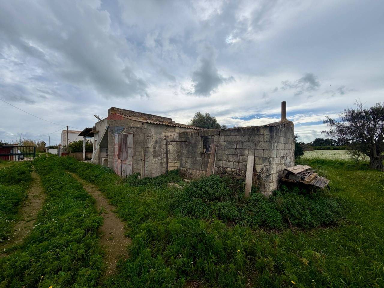 immagine annuncio 6 di 15