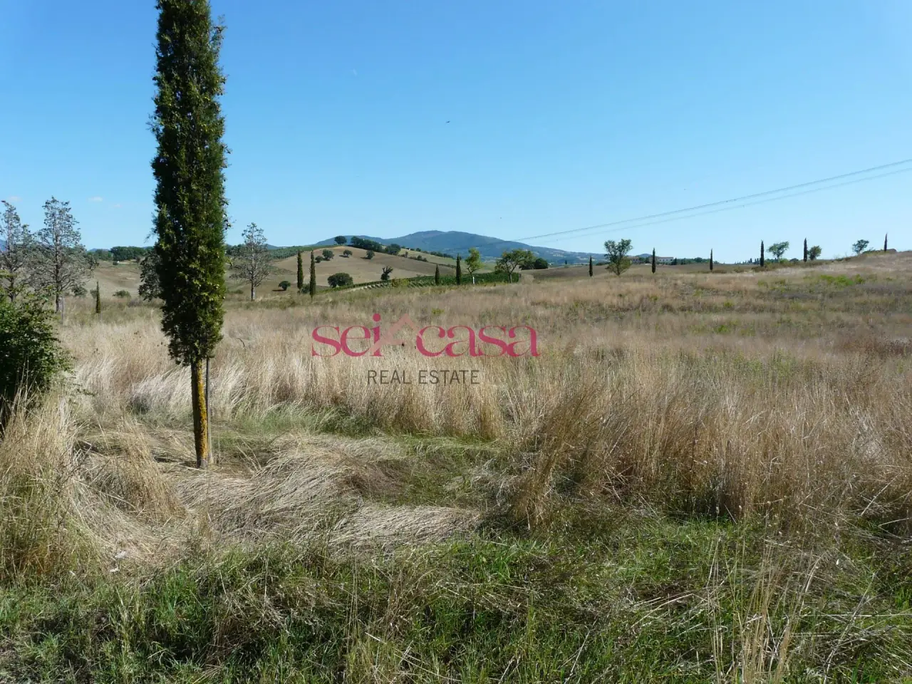 Azienda agricola in Borgo Santa Rita, Cinigiano, {3} - Foto 1
