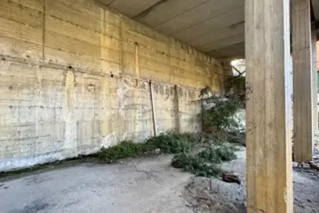 insertion image