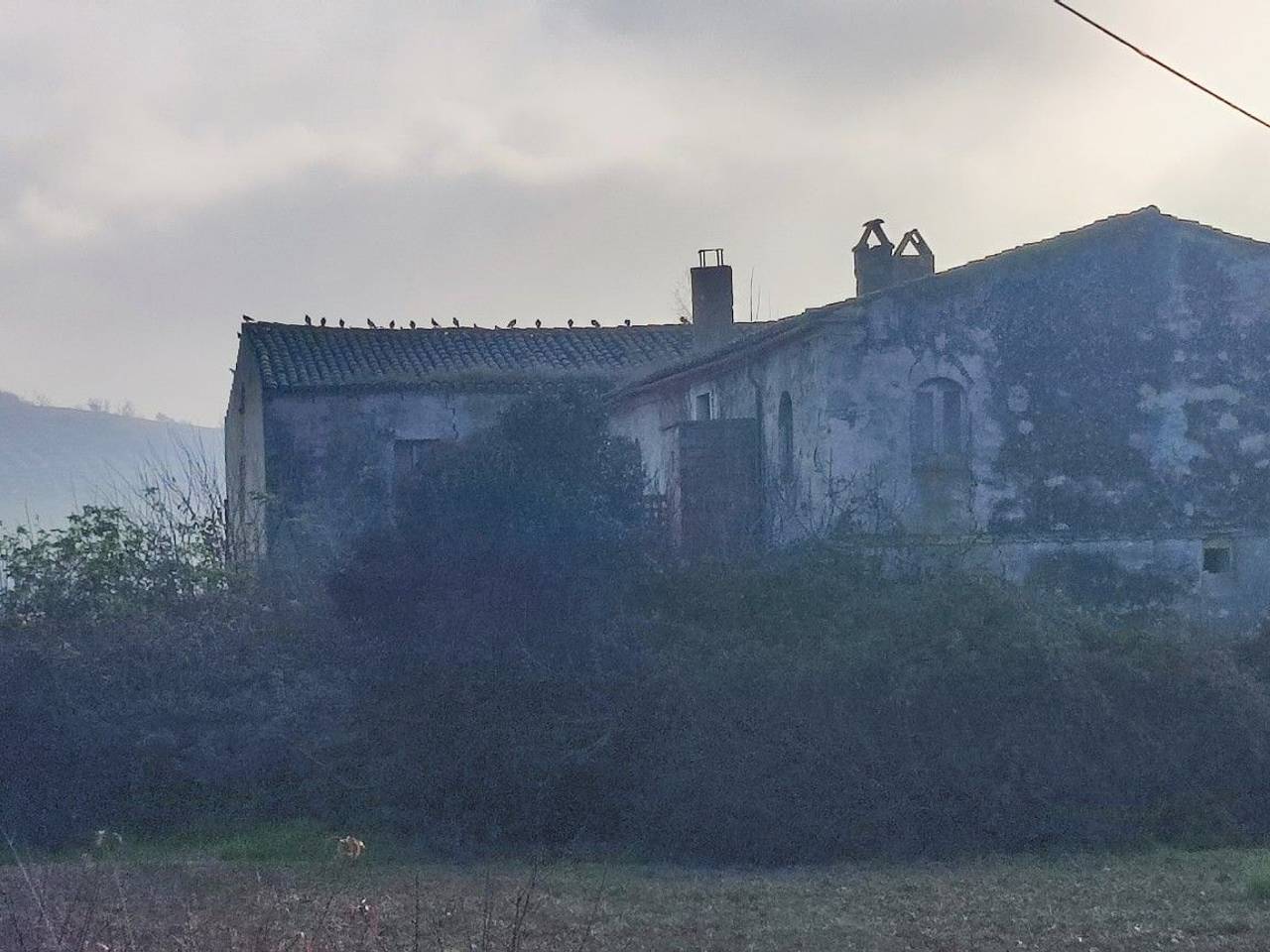 immagine annuncio 7 di 14