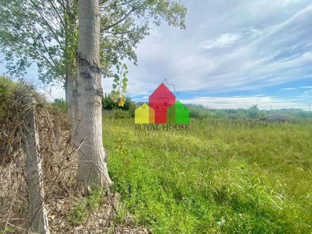 immagine annuncio 11 di 12