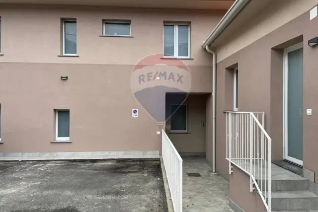insertion image
