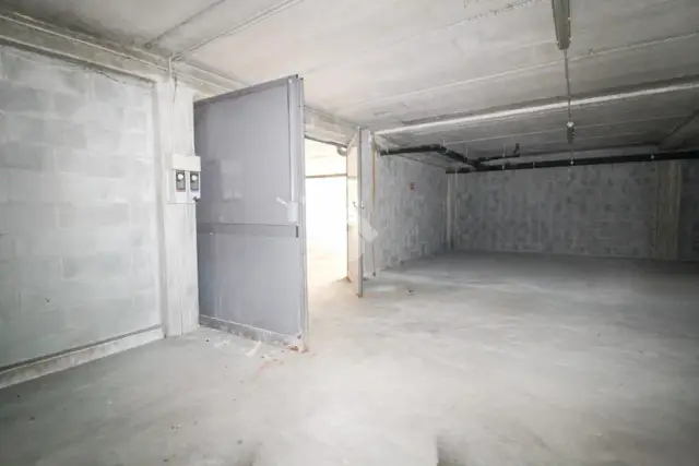 insertion image