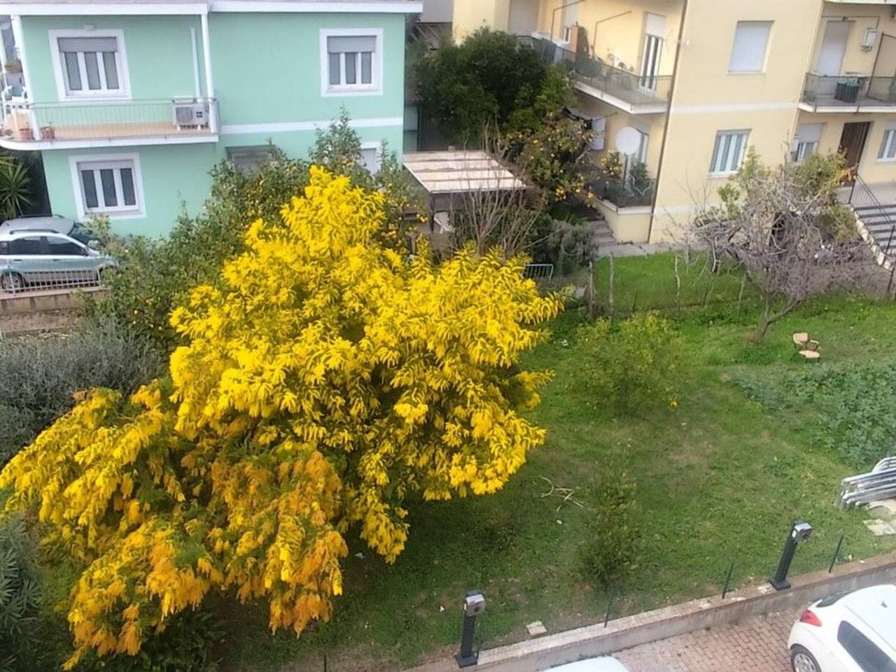 immagine annuncio 14 di 15