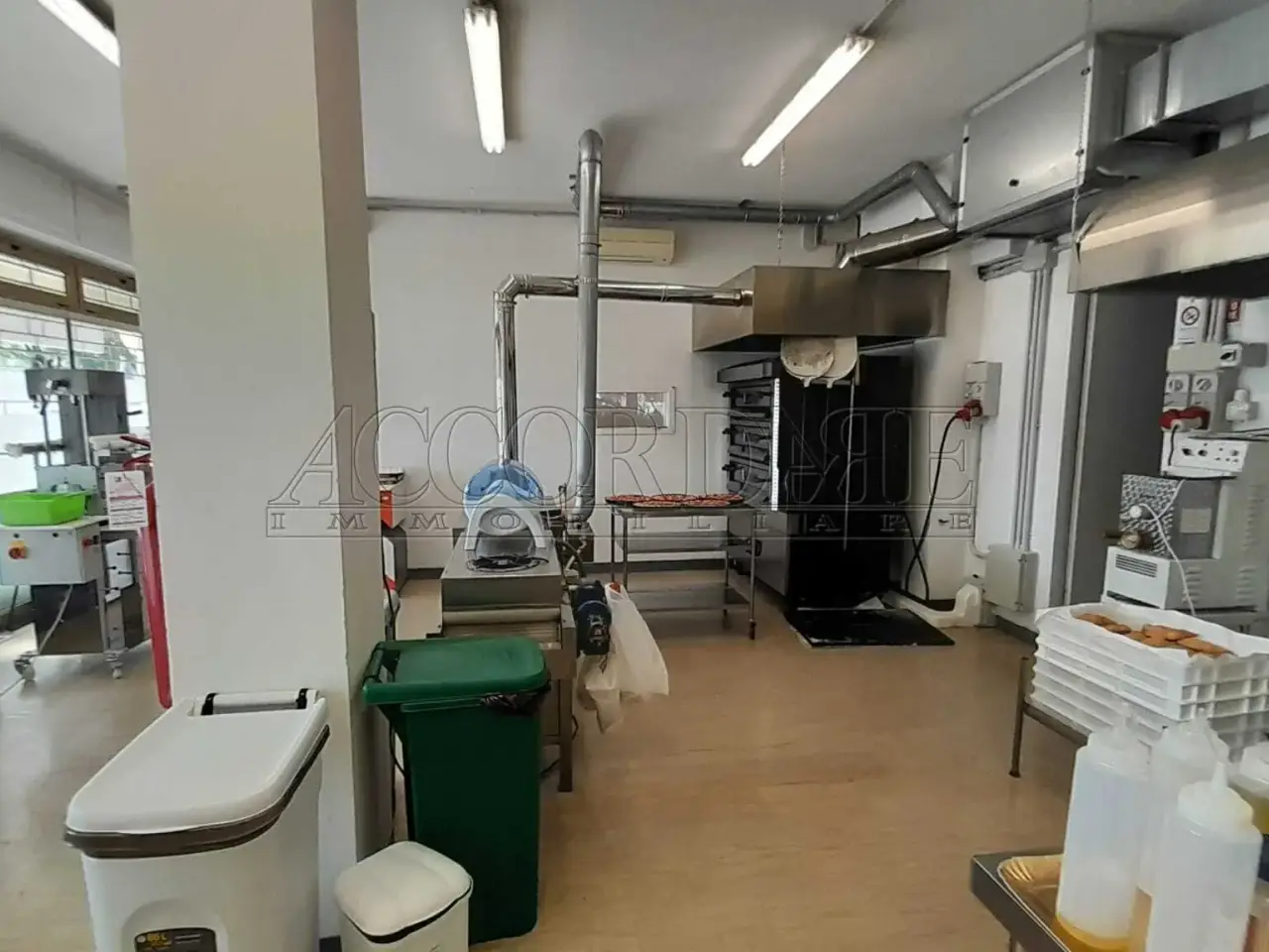 Gastronomia in Via della Provvidenza 78, Rubano, {3} - Foto 2