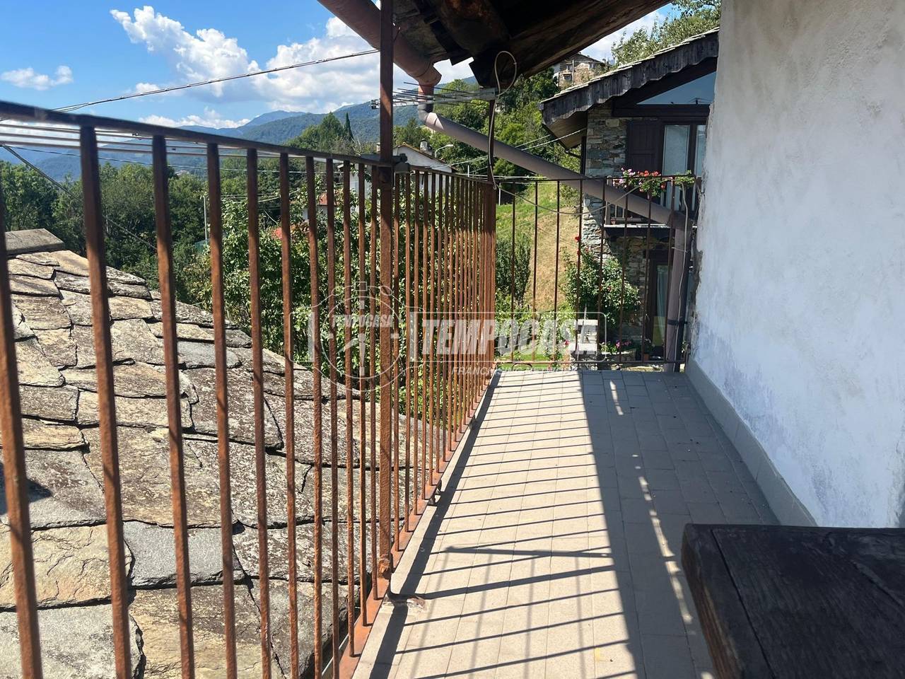 immagine annuncio 11 di 14