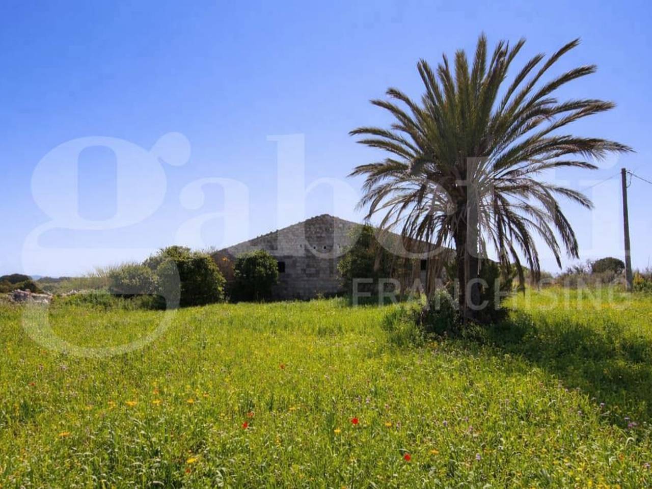 immagine annuncio 6 di 12