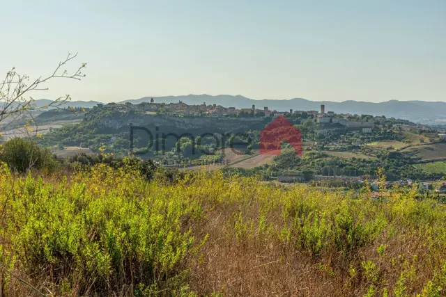 Terreno agricolo in {3}, Località Bandita San Pantaleo - Foto 1