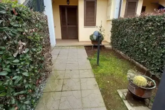 insertion image