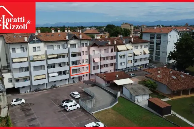 insertion image