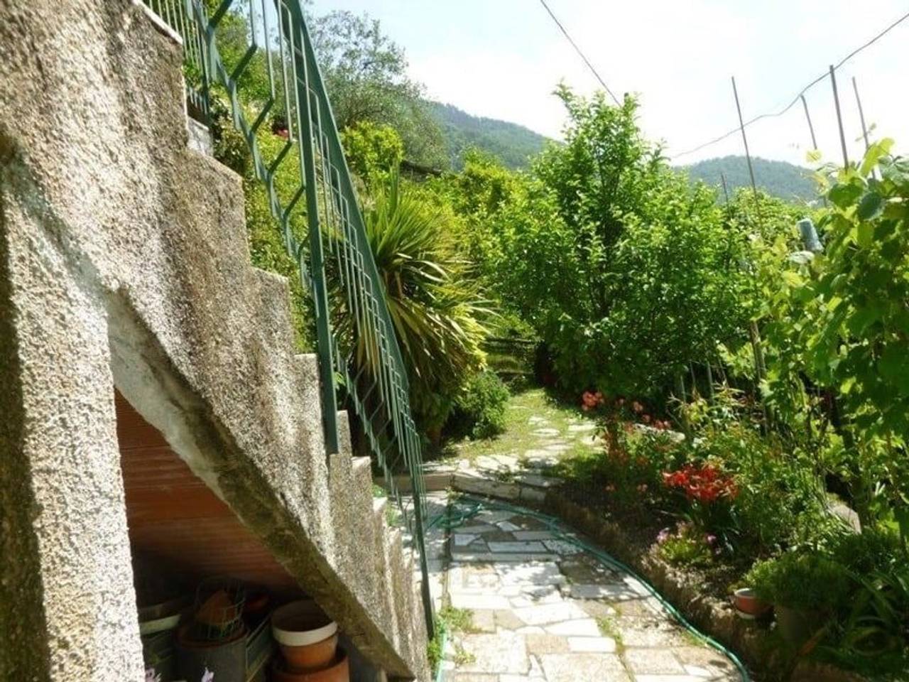 immagine annuncio 2 di 14