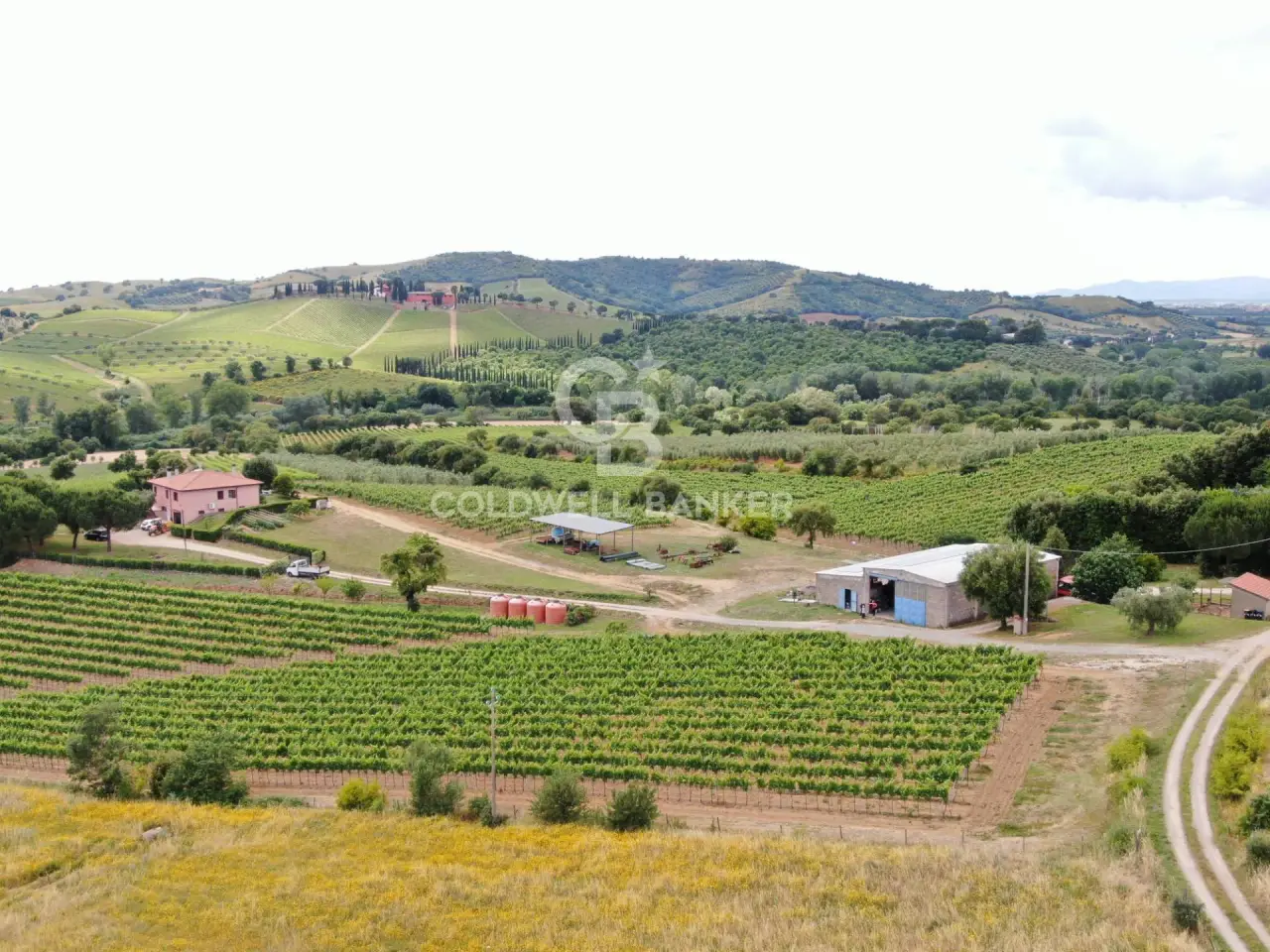 Azienda agricola in Grosseto 10, Grosseto, {3} - Foto 1