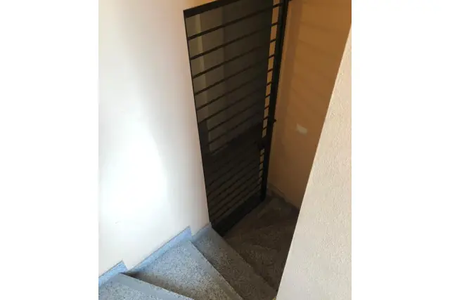 insertion image