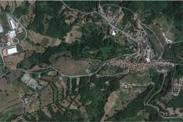 insertion image