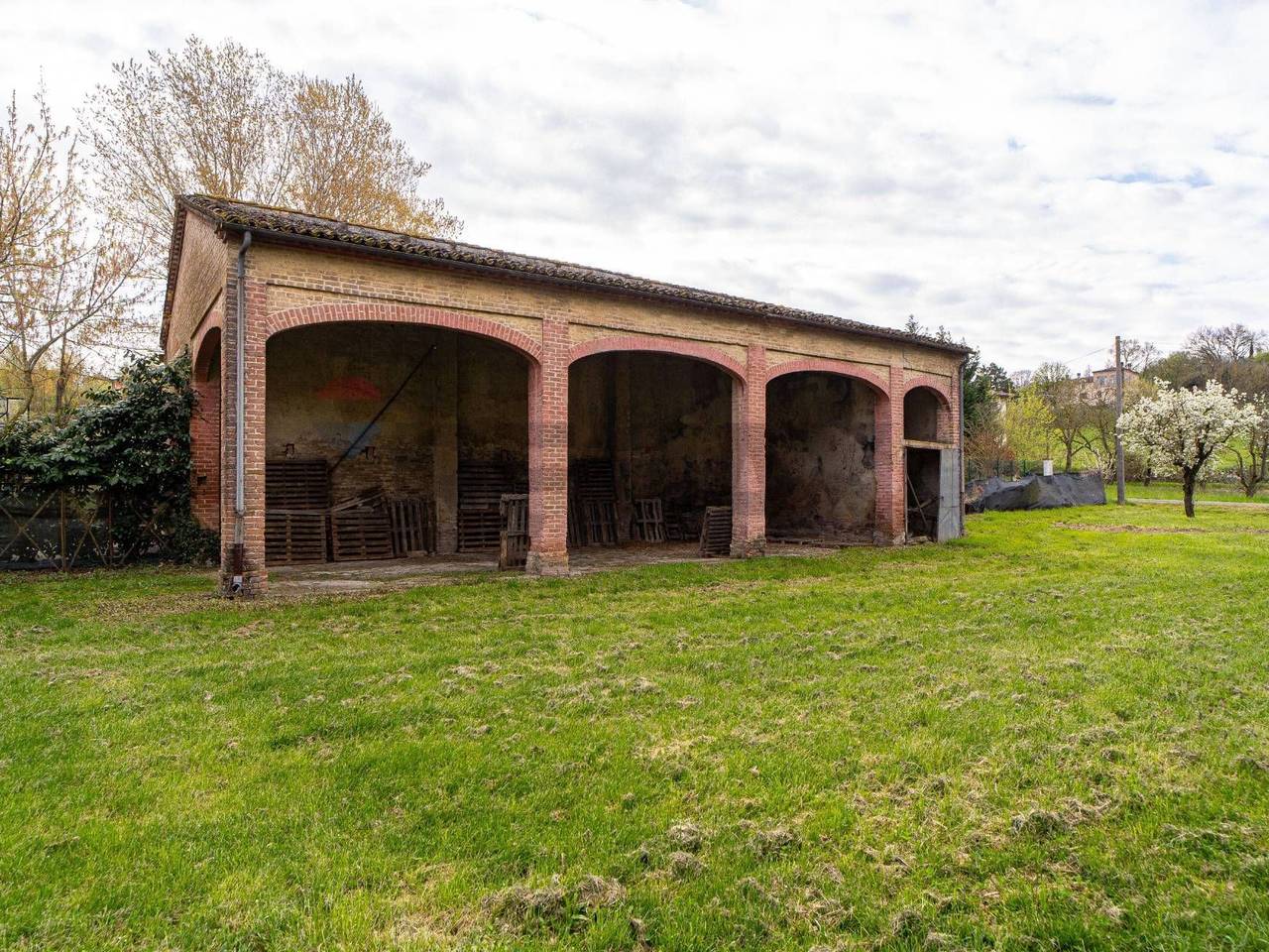 immagine annuncio 4 di 15