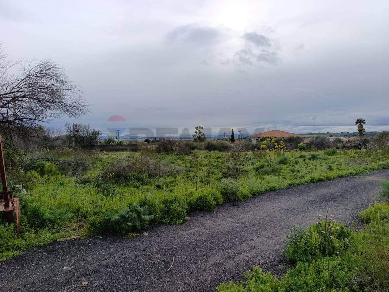 immagine annuncio 3 di 4