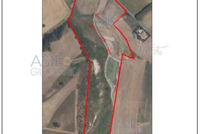 insertion image
