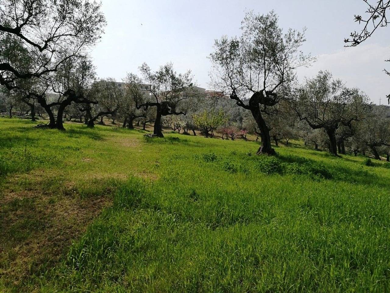 immagine annuncio 10 di 14