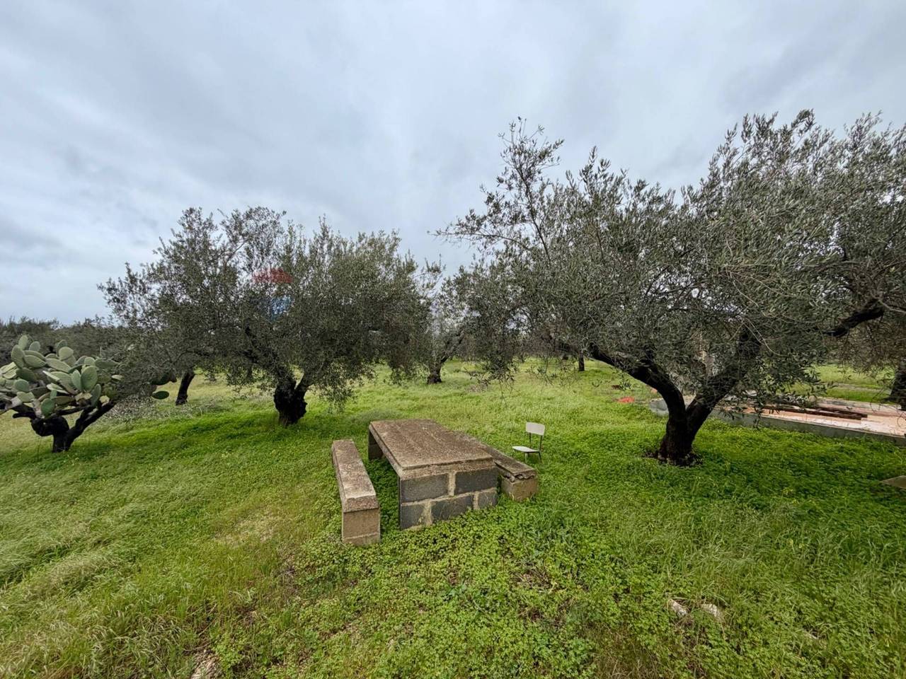 immagine annuncio 7 di 14