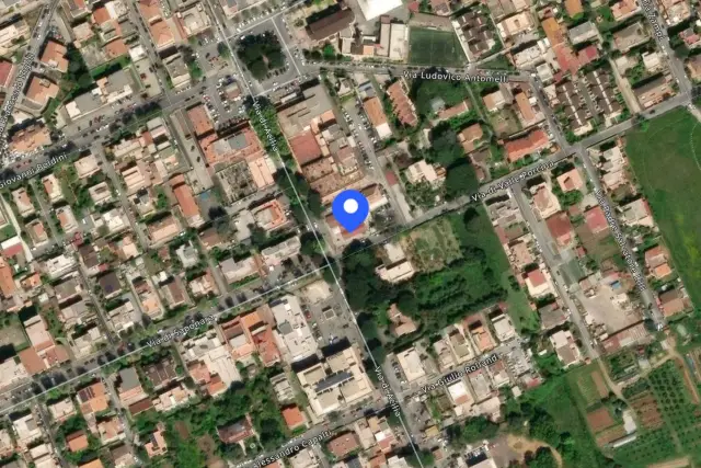 insertion image