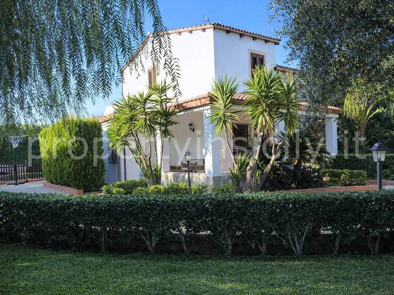 immagine annuncio 12 di 15